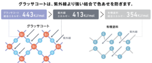 コロニアルグラッサ