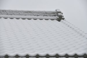 雪害